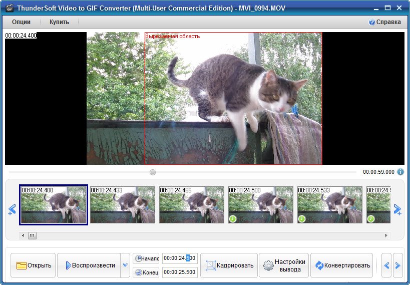 ThunderSoft GIF to Video Converter 4.5.1 free