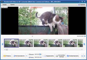 ThunderSoft Video to GIF Converter 1.4.5.0 Portable Rus